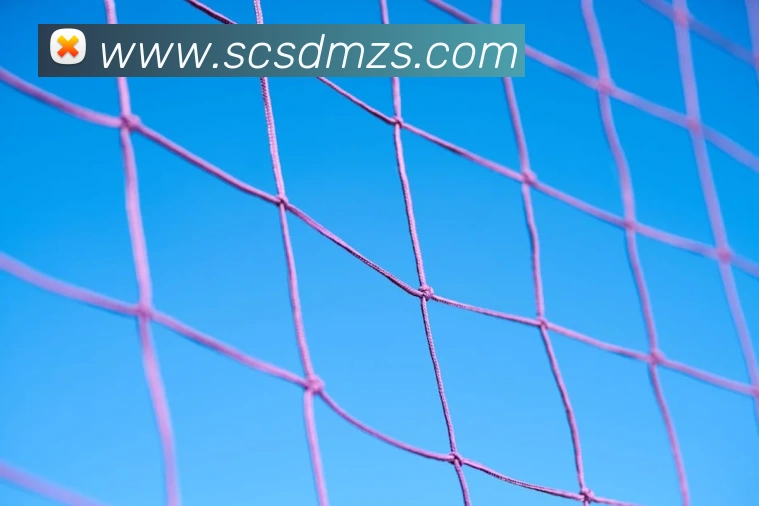 在线买世界杯平台APP 封面图